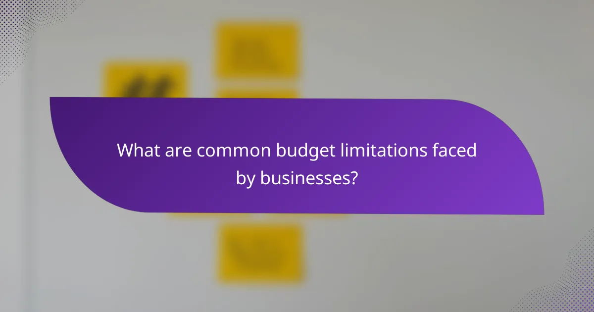 What are common budget limitations faced by businesses?