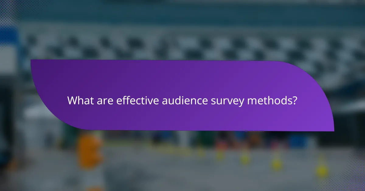 What are effective audience survey methods?