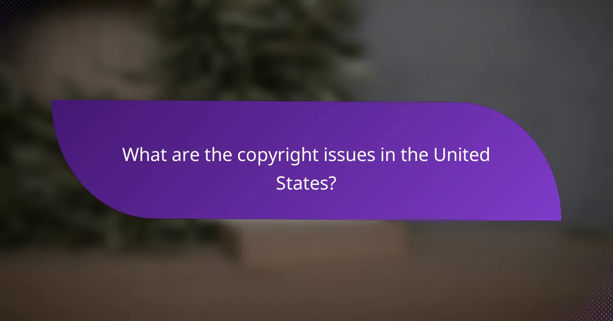 What are the copyright issues in the United States?